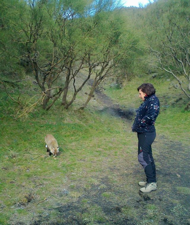 Etna Glob&B Hiking Цафферана-Этнея Экстерьер фото